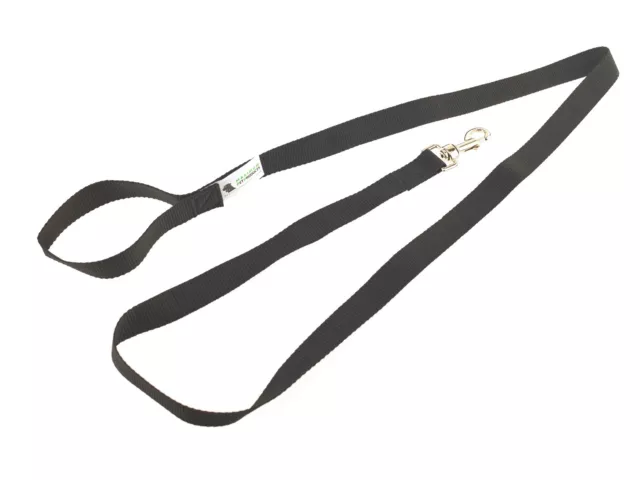 Dog Lead For Training, Tracking & Obedience Recall 10ft 3 Meter