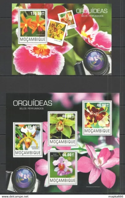 St2438 2014 Mozambique Flora Flowers Orchids Orquideas B+Bl Mnh