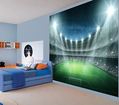 Football Stadium boys room paper wallpaper 368x254cm wall mural bedroom green 