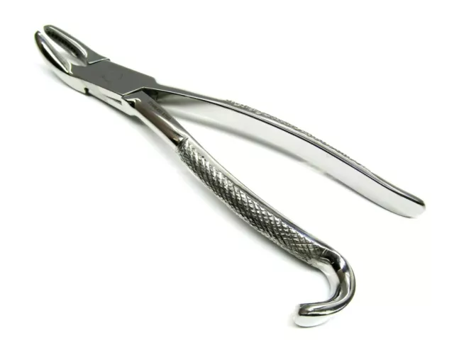 Equine Dental Wolf Tooth Extractor Forceps Stainless Steel 9.5″ Long