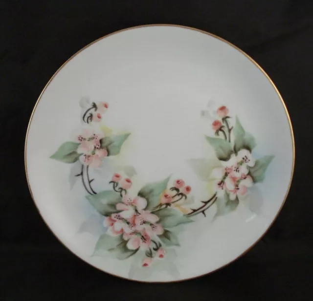 Vintage Hand Painted Hutschenreuther Selb Bavaria Pink Flowers Plate Germany