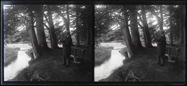 FRANCE Wood Men's c1910 NEGATIVE PHOTO Stereo Glass Plate VR22L27n5  