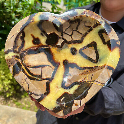 9.07LB Natural Septarian FOSSIL Dragon Stone Crystal Carving Art Heart Plate