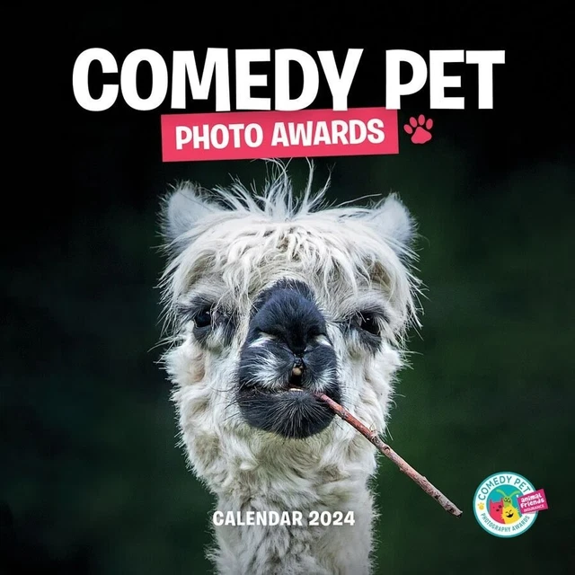 COMEDY PET PHOTOGRAPHY Awards (PFP) Calendar 2024 13.52 PicClick