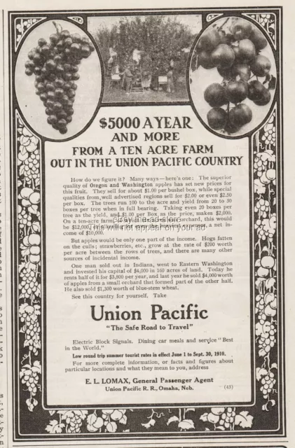 1910 Union Pacific Railroad Grapes Apple Orchard Oregon Washington Photo Ad