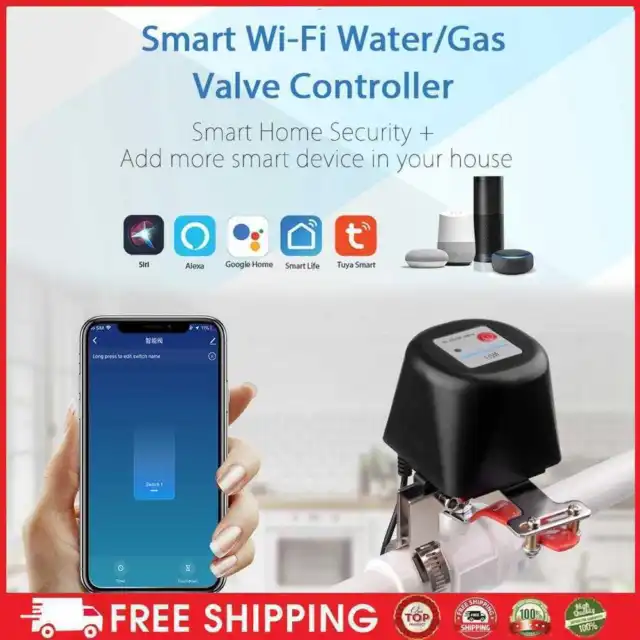 Controller valvola gas acqua intelligente WiFi app controllo vocale per 1/2 3/4 1 tubo