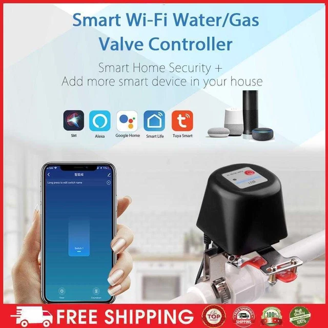 Controller valvola gas acqua intelligente WiFi app controllo vocale per 1/2 3/4 1 tubo