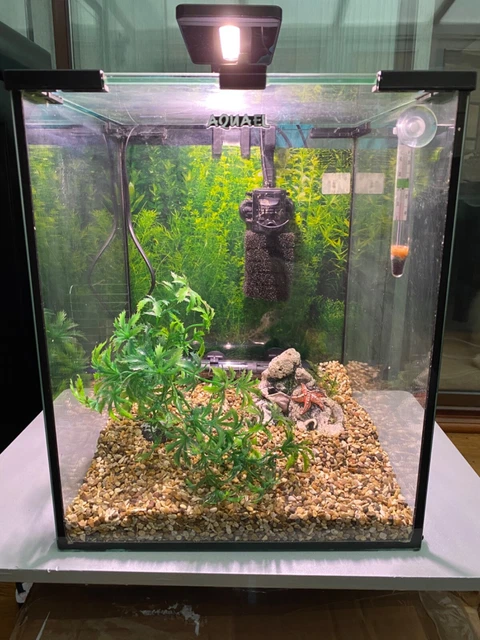 AquaEl set 30 tank