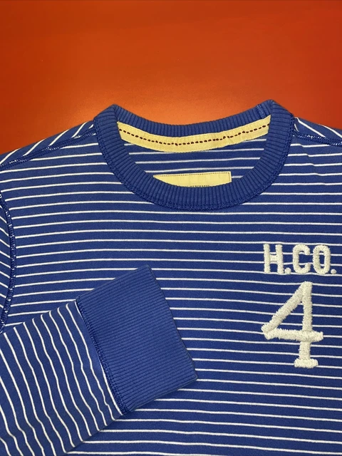 HOLLISTER SWEATER WOMENS XL Blue Striped Pullover Crewneck