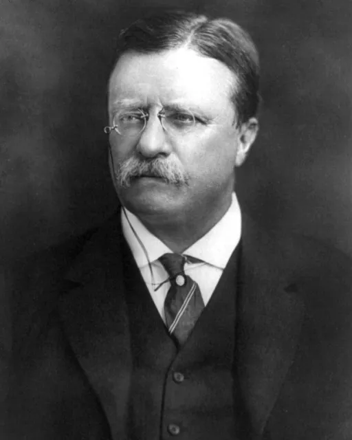 Theodore Teddy Roosevelt President Official Portrait 8 x 10 Photo Picture jd4