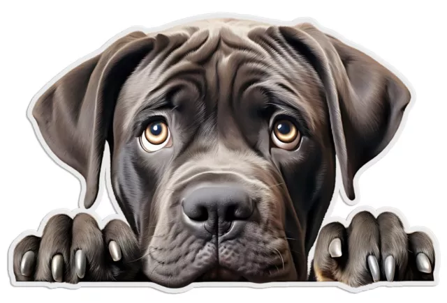 Designer Aufkleber / Sticker Fotosticker - Hunde -  Cane Corso Porträt 01