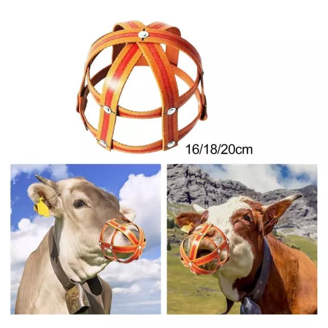 Horse Grazing Muzzle with Large Holes Anti Biting Comfortable Breathable Horse