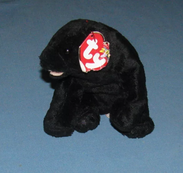 Cinders Black Bear Ty Beanie Baby Babies 2000 Plush Stuffed Animal 5" Toy