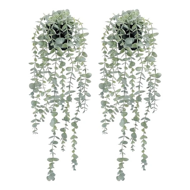 Künstliche Hängepflanze Eukalyptus – Ca. 63 Cm Lang – Mit Topf – Für Wand & Regal – Pflegeleicht & Realistisch