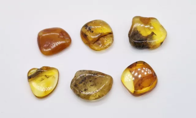 Mixed 34.185ct 40-60 Million Years Old Natural Amber Fossil Piece 3