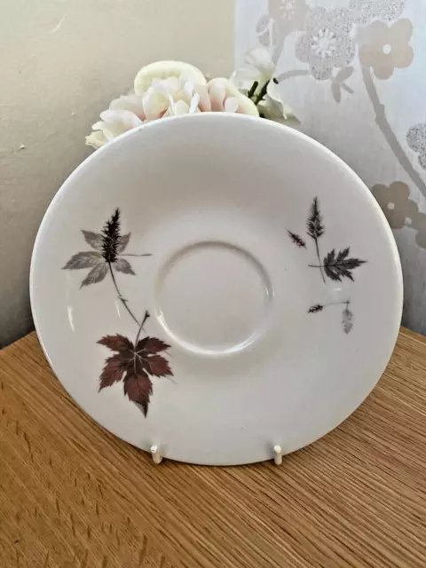 Royal Doulton Tumbling Leaves, (TC1004)  6" Saucers