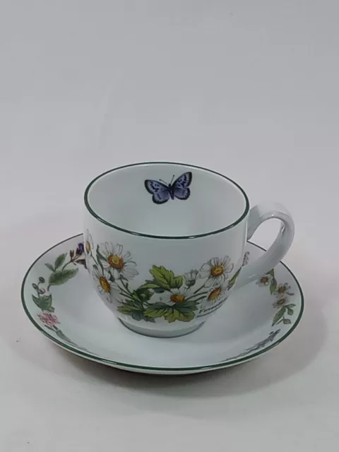 Royal Worcester 1990 Worcester Herbs Teacup Saucer Set Fine Porcelain