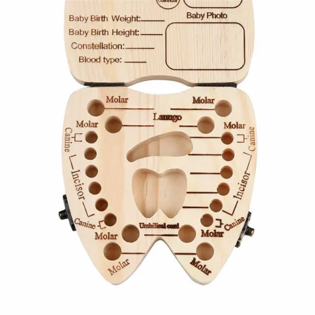 Baby Tooth Box Organizer Milk Teeth Wooden First Tooth Keepsake Storage Case GNL 3