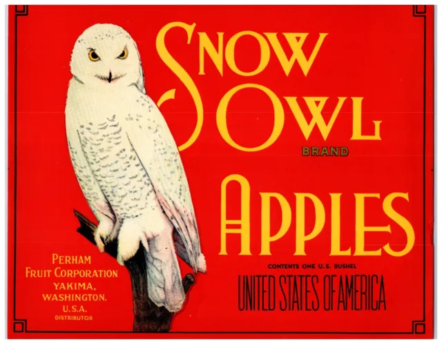 Vintage Snow Owl Brand Apples Yakima WA Apple Crate Label Red