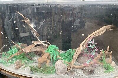 800 Gallon Acrylic Aquarium Fish Tank With Stand And Sump And Plants Driftwood