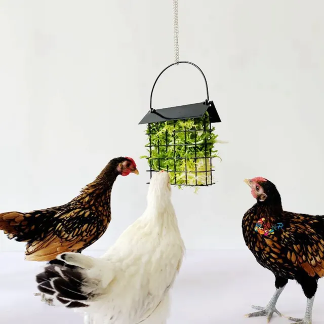 Chicken Hanging Feeding Box Metal Chick Vegetable Basket Pet Hens Fruit Feed Ecm