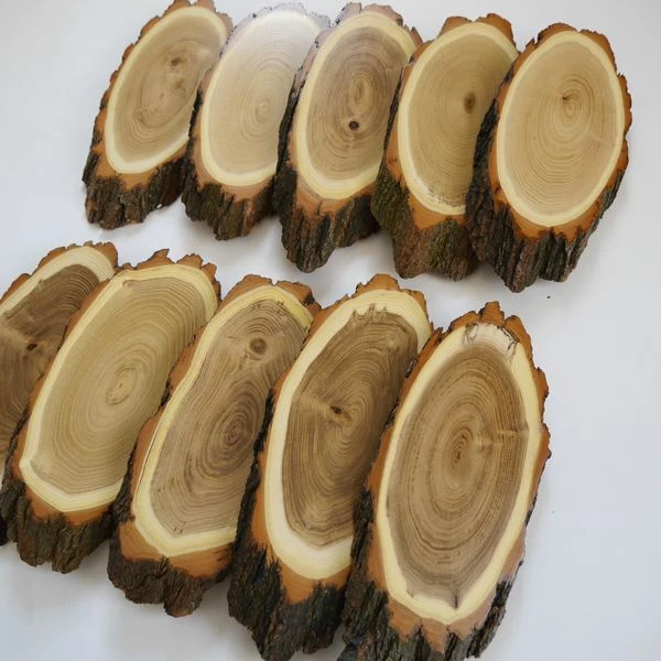 10 Pieza Escudo de Trofeo Acacia Ciervo Af 20-21 CM Corzo Baumscheibe Baumschild 3