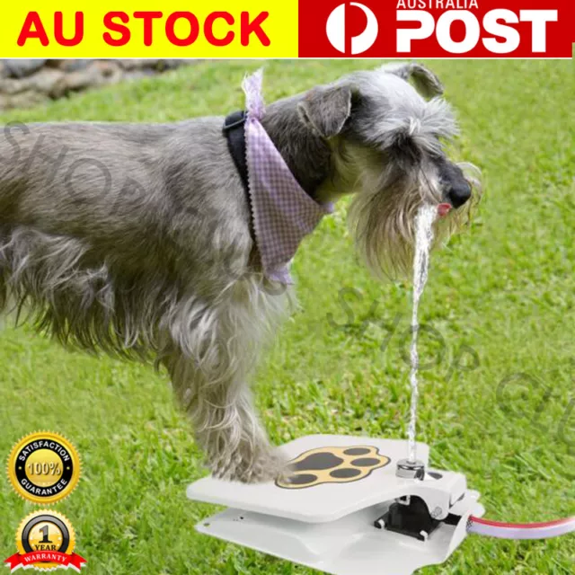 Dog Water Drinking Fountain Pet Dispenser Automatic Step & Spray Auto Paw Press