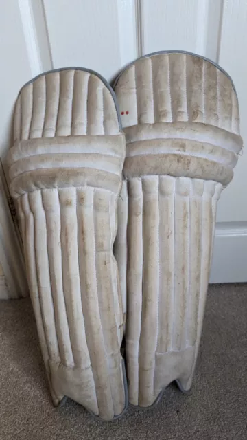 Cricket pads, gloves, thigh pad and whites