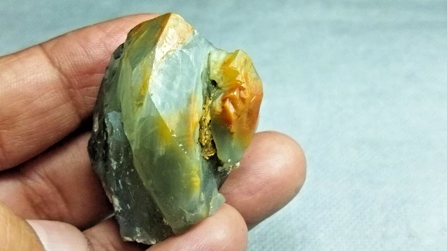 Cotola Come Una Conchgla Fossle Dal Mare Della Tetde. Progetto - Foto 10