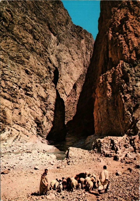 CPM AK MAROC Tinghir-Les Gorges du Todra (343168)