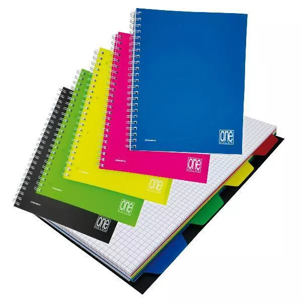 Quaderno Spiralato Mybook con 5 divisori 100 fogli 4 fori A4 5mm Colori  Assortiti a 6.90