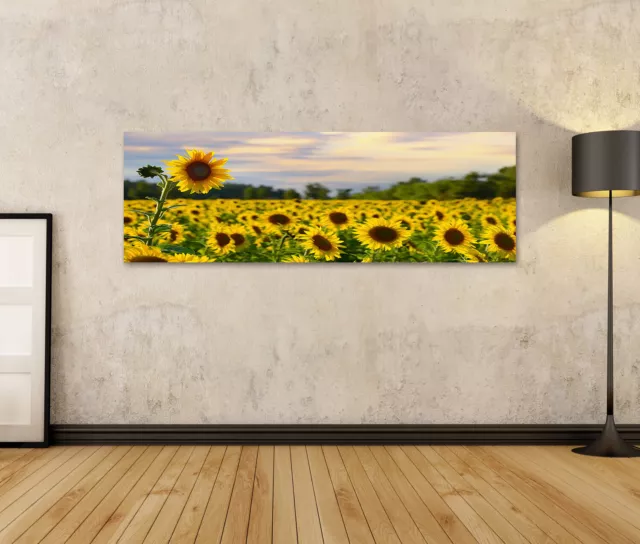 Bild auf Leinwand Große Sonnenblume Sonnenblumenfeld Abendhimmel Wandbild Poster 2