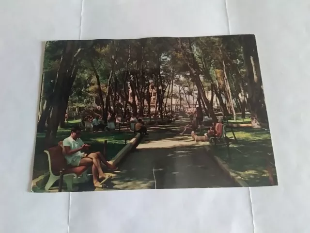 Cartolina F/G Colori Viaggiata Cesena Animata Mondragone Giardini...