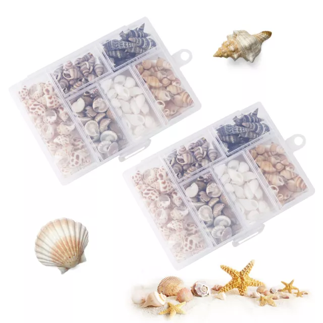 Boxes Tank 200g Kinds Beach Decor Sea Snails Bottle Clam DIY Tiny Shells