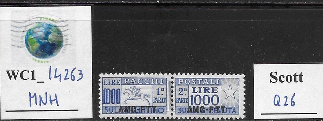 WC1_14263. ITALY: TRIESTE FTT. 1000 L. 1949-54 parcel post stamp. Scott Q26. MNH