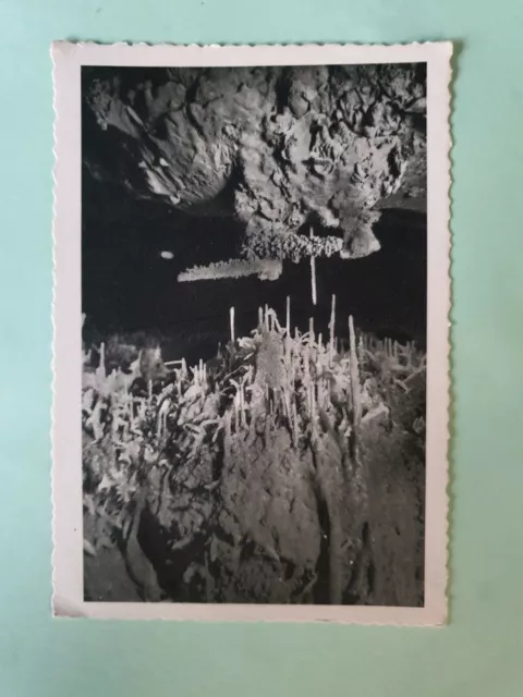 Carte Postale du Lot Grottes de Lacave Excentrique en lumière noire