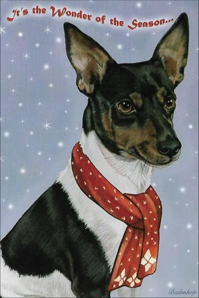 Rat Terrier Christmas Cards ~ 10 Cards & Envelopes