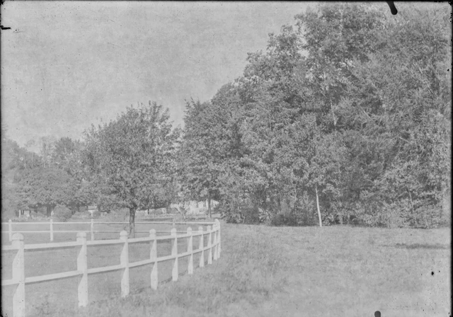 Antique photo glass plate negative 13x18 cm landscape park trees, vintage France
