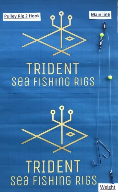 https://www.picclickimg.com/CTgAAOSwqZdlIAyv/5-Mixed-sea-fishing-rigs-Boat.webp