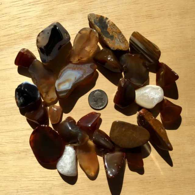 1lb Lot Mini Geode Slices Small End Cut Stones Mixed Agate Crystals Jasper Rocks