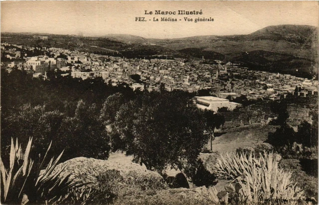 CPA AK FEZ - La Medina Vue générale MAROC (796394)
