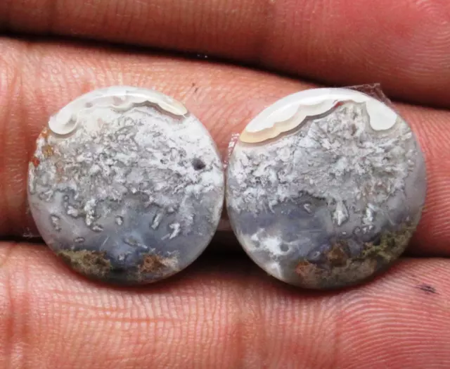 19.40 Cts Natural Crazy Lace Agate Matched Pair Round Shape Gemstone D 2095