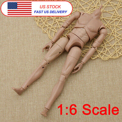 1/6 Scale Male Muscular Body JXS01 for Hot Toys TTM22 Worldbox AT011 