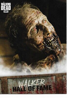 Walking Dead Road to Alexandria Walker Hall of Fame Insert Trading Card #W-3