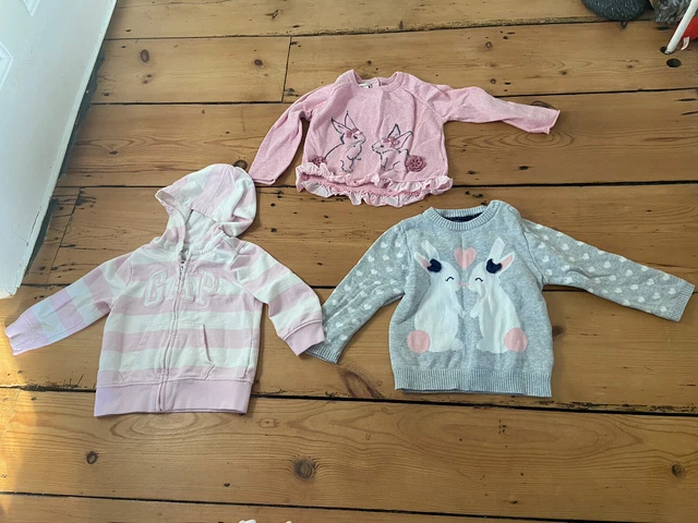girls gap hoodie and jumper bundle age 18-24 months pink white grey Bunny Rabbit