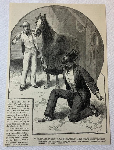 1885 Rivista Incisione ~ Uomo Con Cavallo Nel Stable