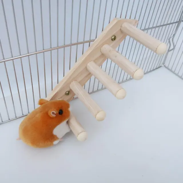 Papagei Hamster Kletterleiter Hamster Plattform Spielzeug Geschenk Lustiges