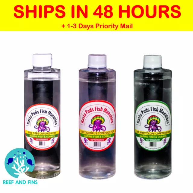 Tisbe, Trigio, Apo Copepods Triple pack FREE QUICK SHIP