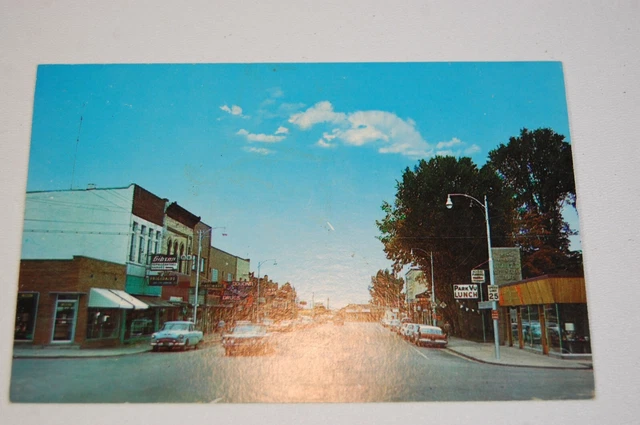RPPC Lake City Mi Mich Michigan Downtown Color 1950's?