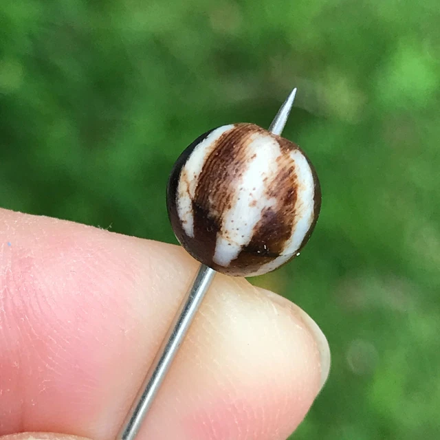 Rare Ancient Pumtek Pyu Bead 6 Stripe 9X9.5Mm #B458